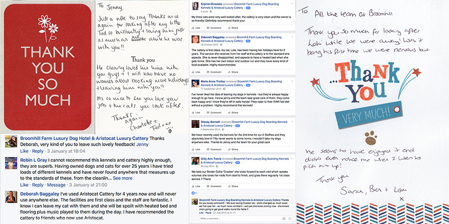 Luxury Cattery in Chesterfield