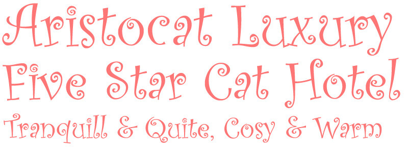 Aristocat Luxury Cat Hotel
